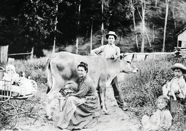 historic black and white photo of family milking cow