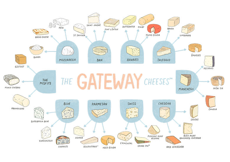 Gateway cheese graphic