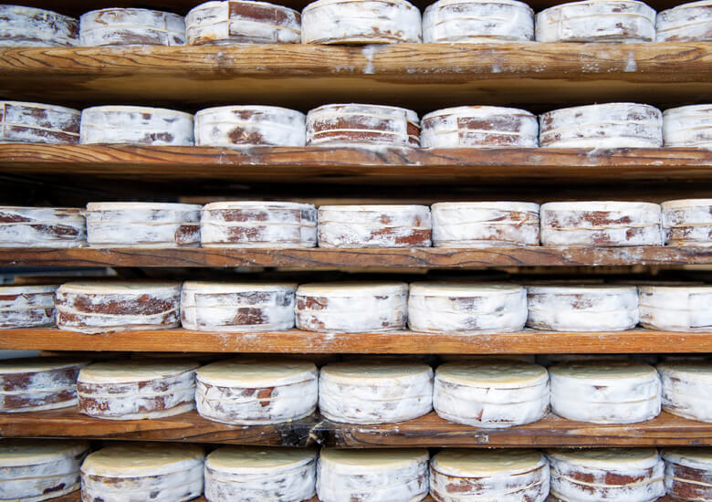 Uplands Cheese wheels drying on wooden boards