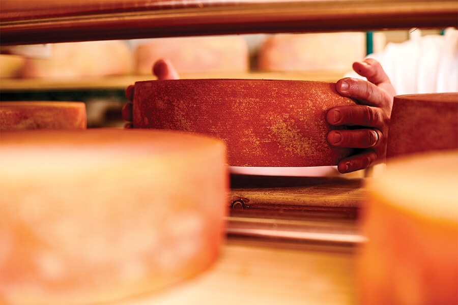 Aging Cheese: The Basics
