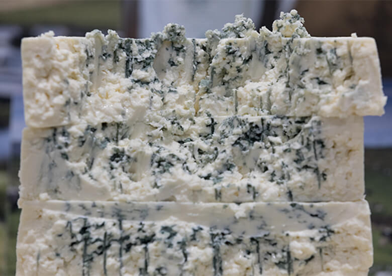 Mold And Cheese Veining 
