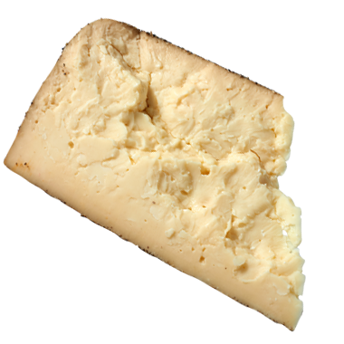 Cheese Image